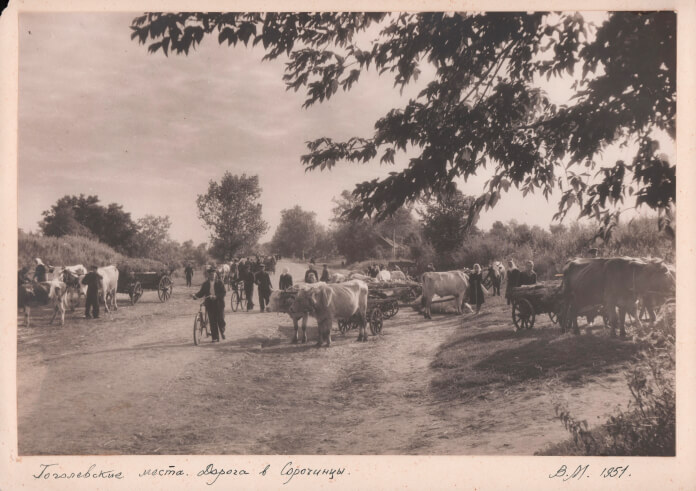 Гоголевские места. Дорога в Сорочинцы. Фотограф: В. С. Молчанов. 1951